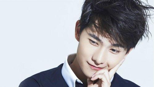 杨洋粉丝撕娱乐圈,一场粉丝文化的撕逼盛宴