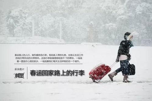 归心似箭图片搞笑,笑翻回家路